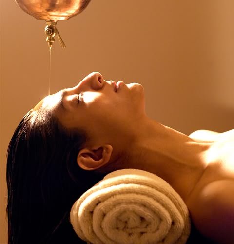 Ayurvedic Intelligence